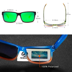Revamp Polarized Sunglasses      BUY 1 GET 1 FREE !