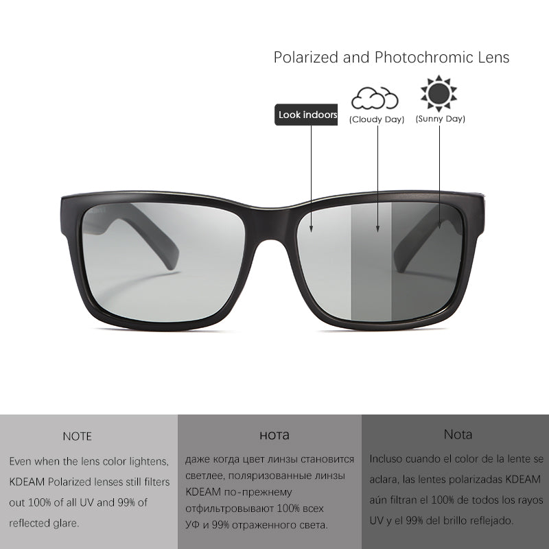 Revamp Polarized Sunglasses      BUY 1 GET 1 FREE !