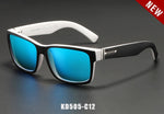 Revamp Polarized Sunglasses      BUY 1 GET 1 FREE !